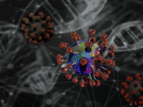 Coronavirus COVID-19 Virus Enfermedad