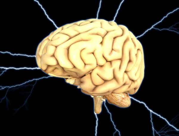 El cerebro Órgano Pensamiento Energía